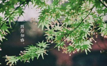 四月的工作总结推荐6篇