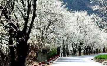 销售四月份工作总结8篇