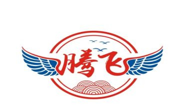 腾飞的祖国100演讲稿7篇