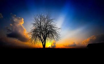 《天空之城》读后感7篇