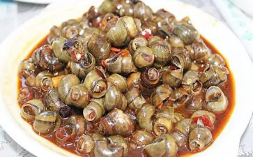 捡田螺作文500作文6篇