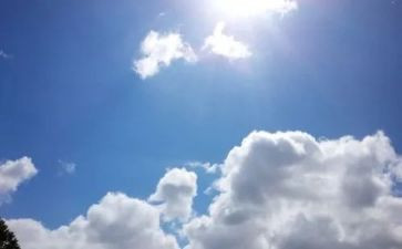 重污染天气响应工作总结7篇