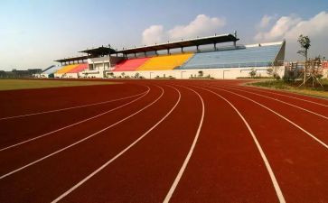 幼儿体育活动活动教案优秀5篇