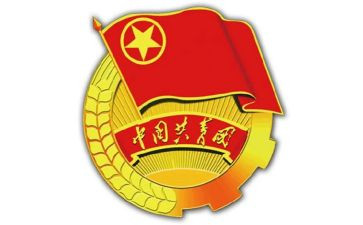 团支部年度工作总结范文推荐6篇