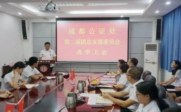 团总支述职报告6篇