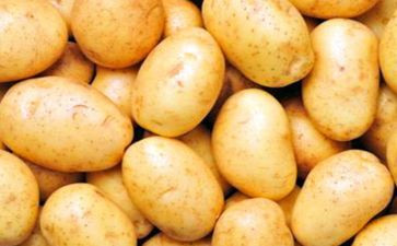 运土豆教案5篇