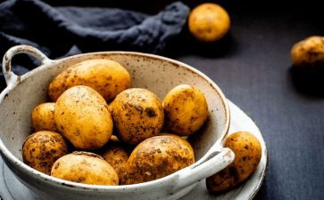 挖土豆作文优秀7篇