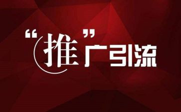 推广队工作总结优秀5篇