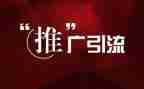 推广队工作总结优秀5篇