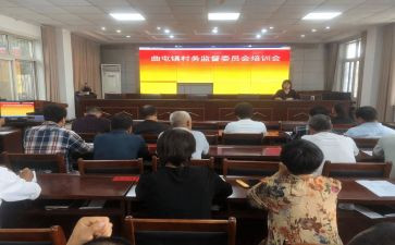 屯委会年度工作总结6篇
