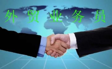 外贸业务员个人总结参考8篇