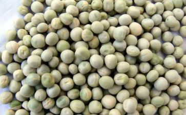 《豌豆上的公主》读后感7篇