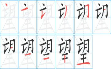 作文我希望600字5篇
