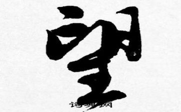 愿望树作文400字7篇