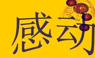 感动的教师事迹材料5篇