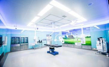 卫生处处长述职报告5篇