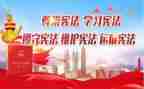安全小卫士的教案7篇