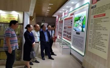 教师小学语文培训心得体会优秀5篇
