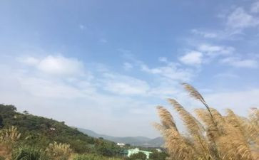 我的一天550作文优秀8篇