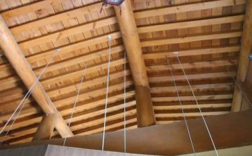 我想握住你的手,作文参考5篇
