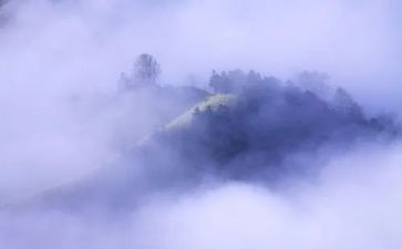 季羡林的《雾》读后感8篇