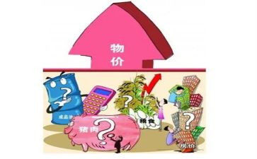 2023物价局工作总结6篇