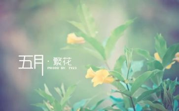 幼儿五月工作计划参考8篇