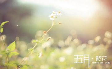 红五月主题演讲稿5篇