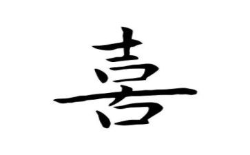 我喜欢的动物500字作文6篇
