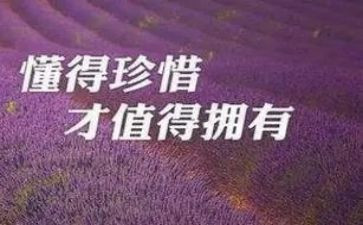 《珍惜》主题演讲稿7篇