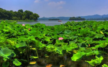夏季活动策划6篇