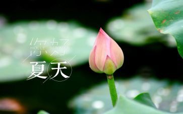 夏洛的网夏洛读后感推荐7篇