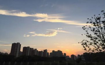 六下班队工作总结优秀7篇