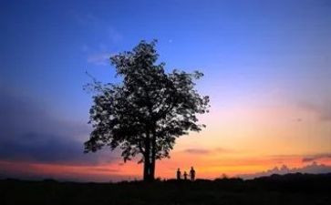 有亲情相伴滋味长作文6篇