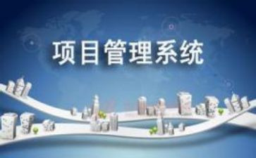 项目办工作半年工作总结7篇