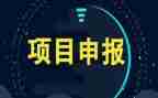 下项目工作总结8篇