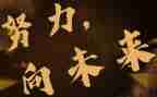 起向未来演讲稿参考6篇