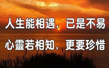 《相遇》作文800字优质5篇