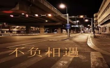 《相遇》作文800字8篇