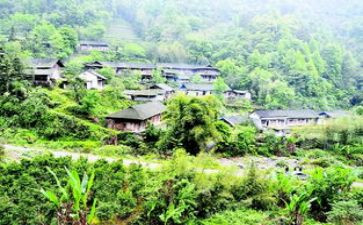 乡镇府干部辞职报告5篇