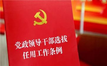 2024年度乡镇干部个人总结7篇