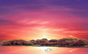 骆驼祥子5的读后感模板6篇