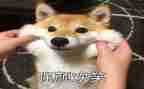以微笑演讲稿8篇