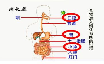 消化内科年度总结6篇