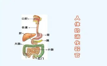 消化医生述职报告5篇