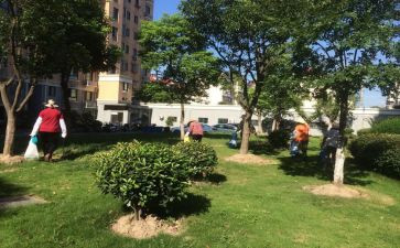 小区物业月工作总结优质5篇