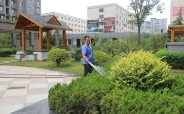 小区物业下半工作总结8篇
