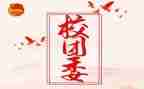 技校团委工作总结通用5篇