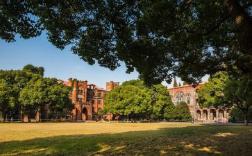 学校校务处工作总结7篇