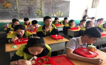 2024年小学老师年度工作个人总结6篇